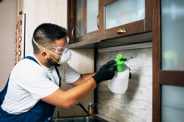Best Affordable Pest Control Services  in Victoria, KS
