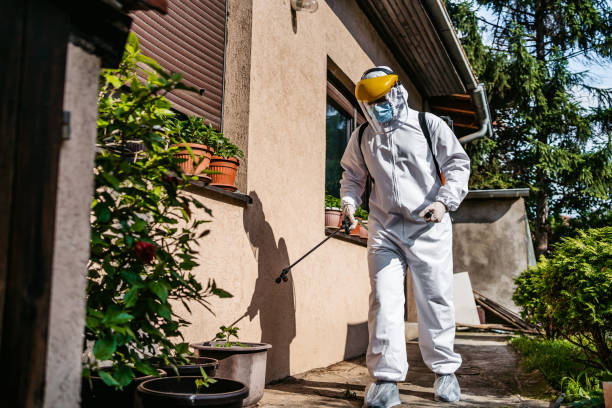 Best Exterminator Services  in Victoria, KS