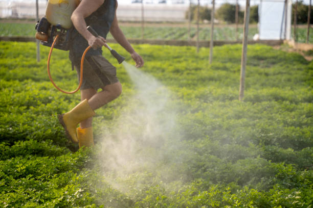 Best Pest Removal Services  in Victoria, KS
