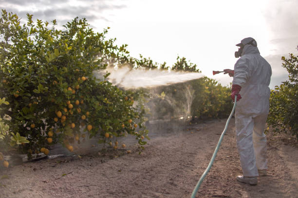 Best Ant Control Services  in Victoria, KS