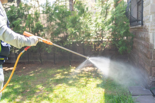 Best Ant Control Services  in Victoria, KS