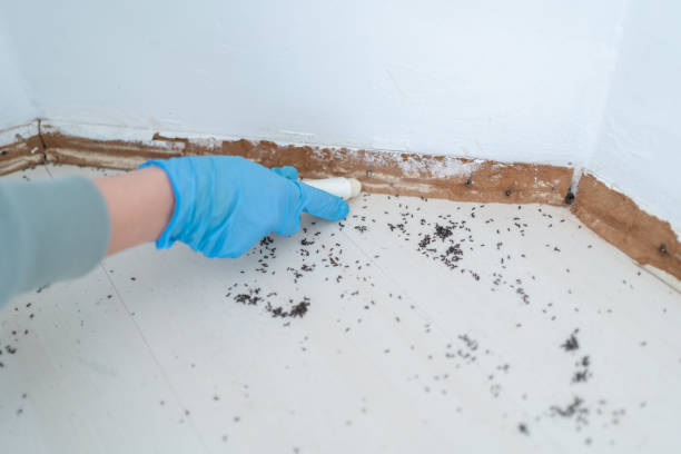Victoria, KS Pest Control Company